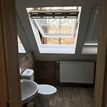 Na Samote U Lesa Nyaraló *